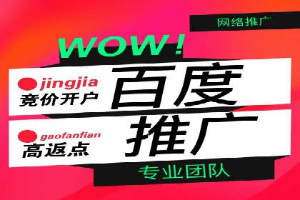 百度SEO推广公司案例分享：实战优化策略解析