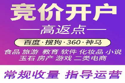 专业sem托管服务案例，揭秘广告投放优化策略
