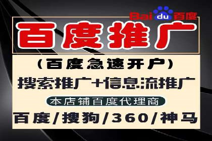 行业领先企业的SEM广告投放策略案例